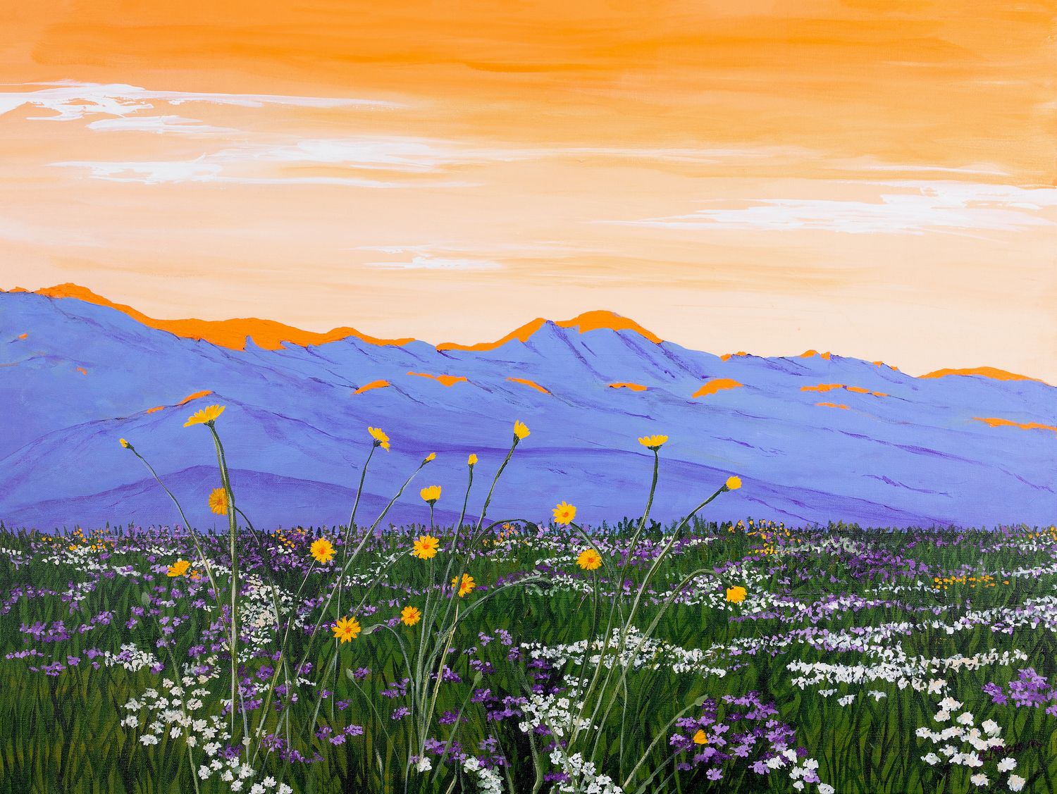 ‘Super Bloom Dawn’ 5.5x4 notecards (bundle of 10)