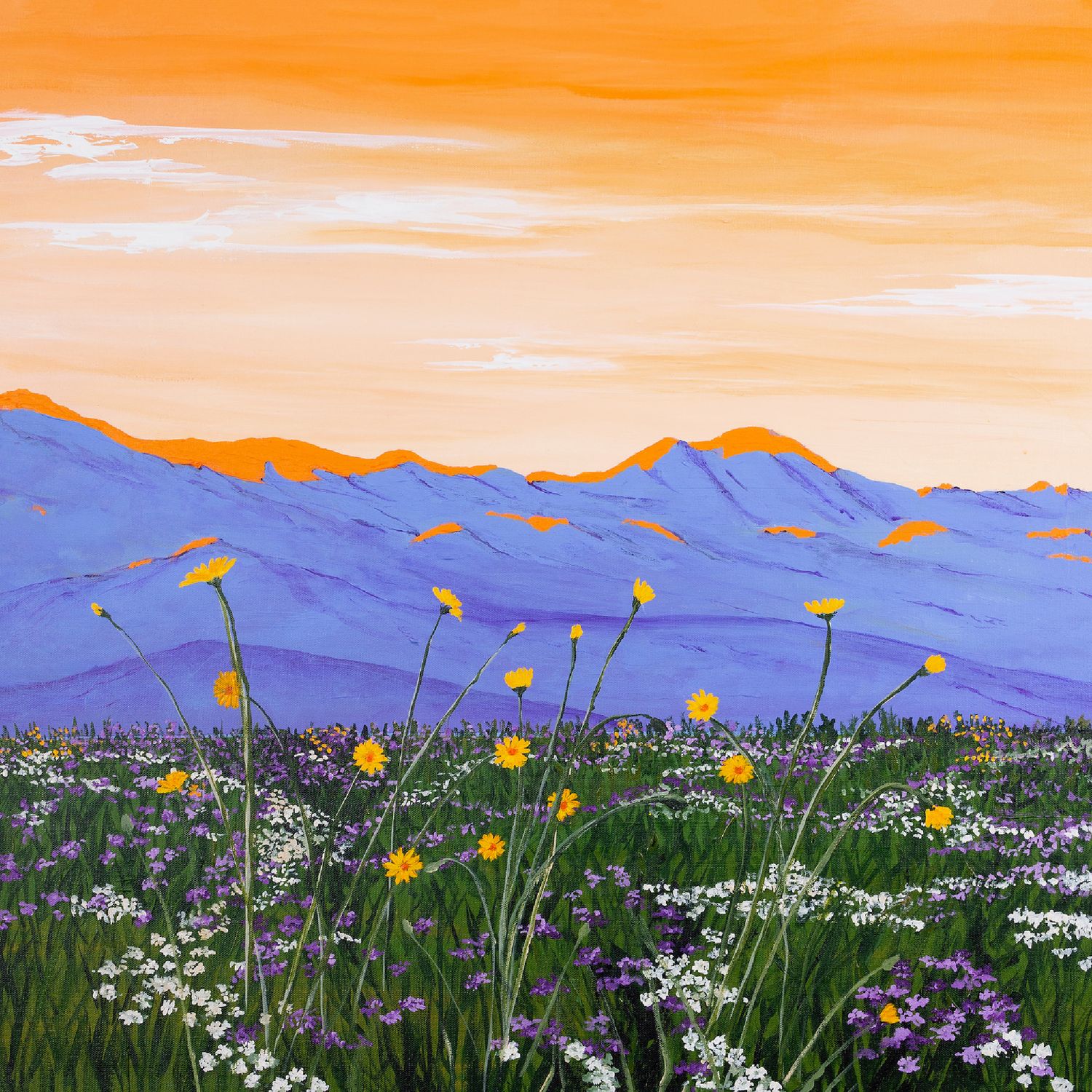'Super Bloom Dawn' 10x10