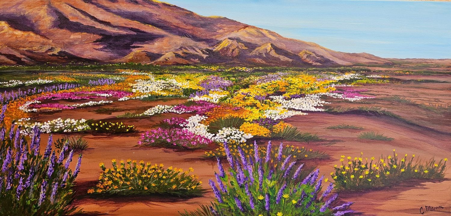'Super Bloom Spectacular' SOLD