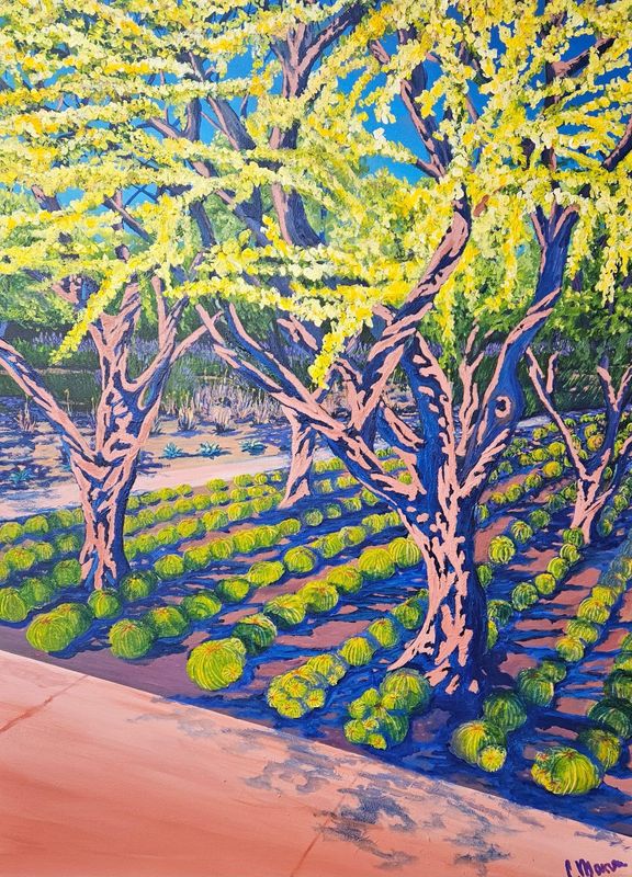 Manicured Desert