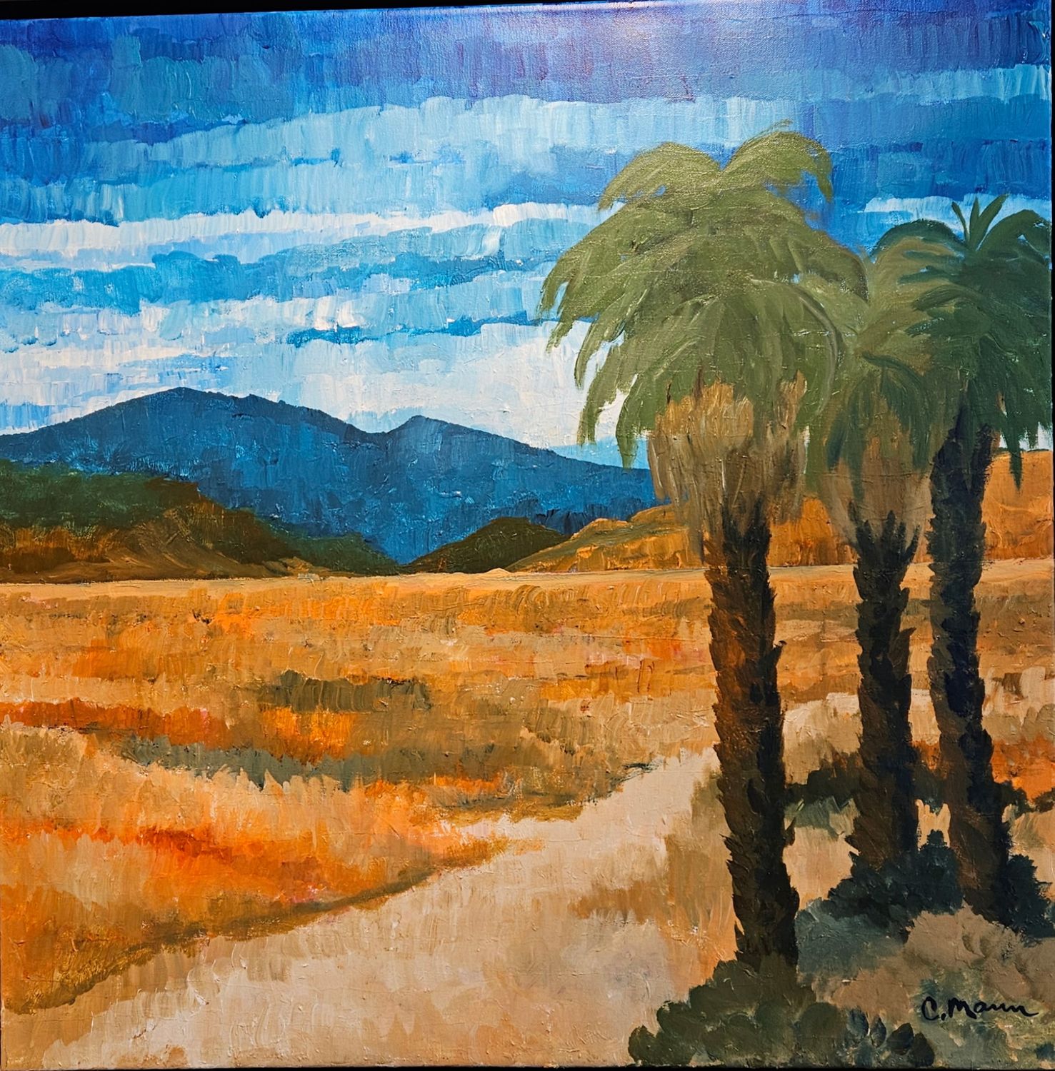 'Desert Mirage'