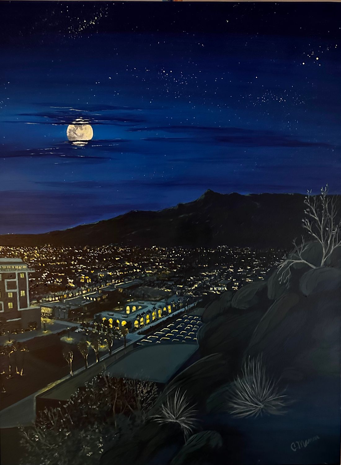 'Moonlit Evening'