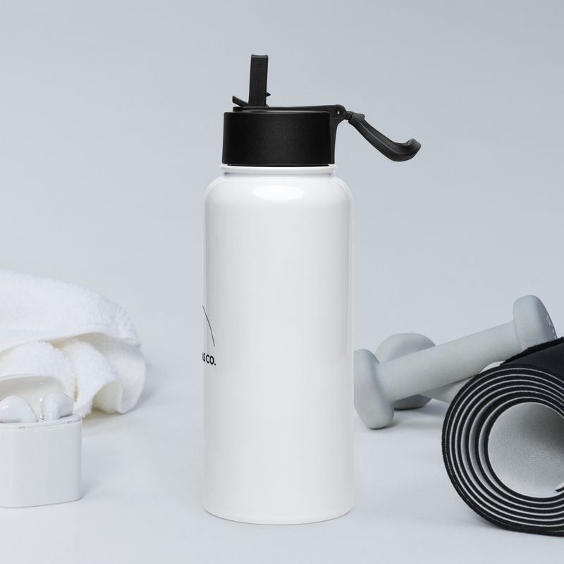 Andreas Co. Stainless Steel Water Bottle with a Straw Lid