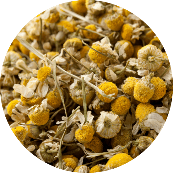 Camomilla fiori interi 1 kg