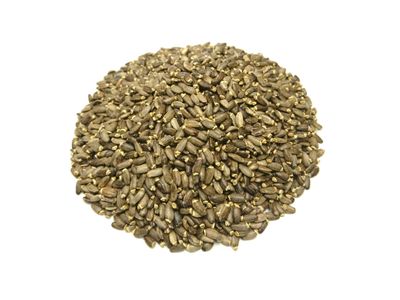 Cardo mariano biologico frutti 100 gr