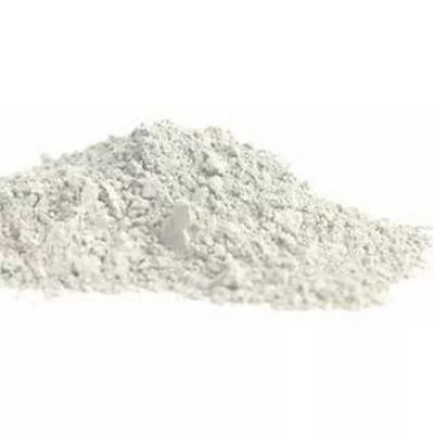 Inulina da cicoria 100 gr