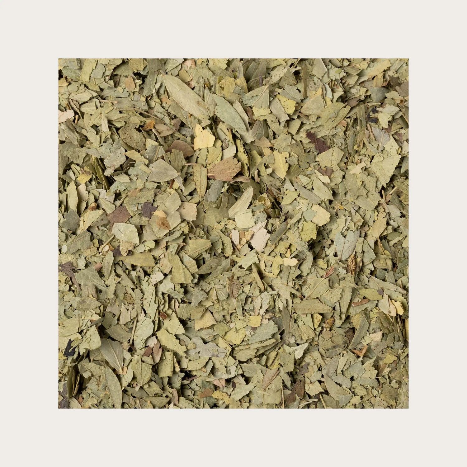 Senna biologica foglie 1 kg