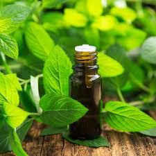 Oli essenziali Erbamea - 10 ml