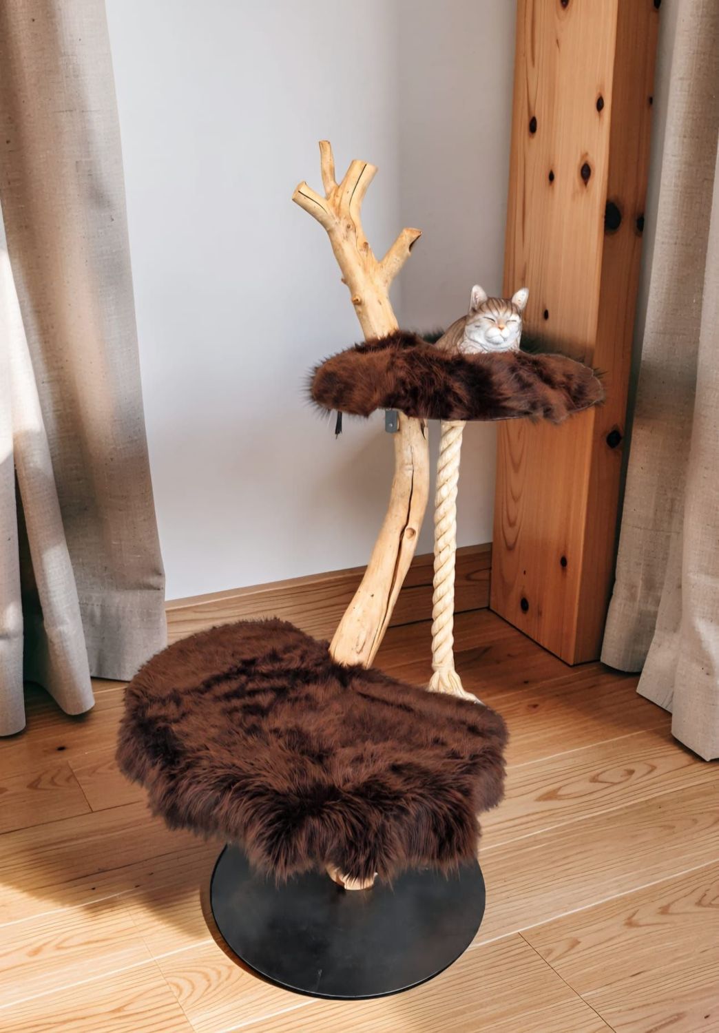 Katzenbaum