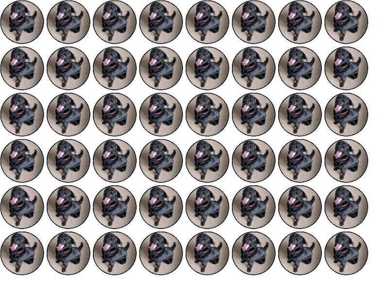 48 Personal Photo Edible Wafer Paper Cupcake Toppers