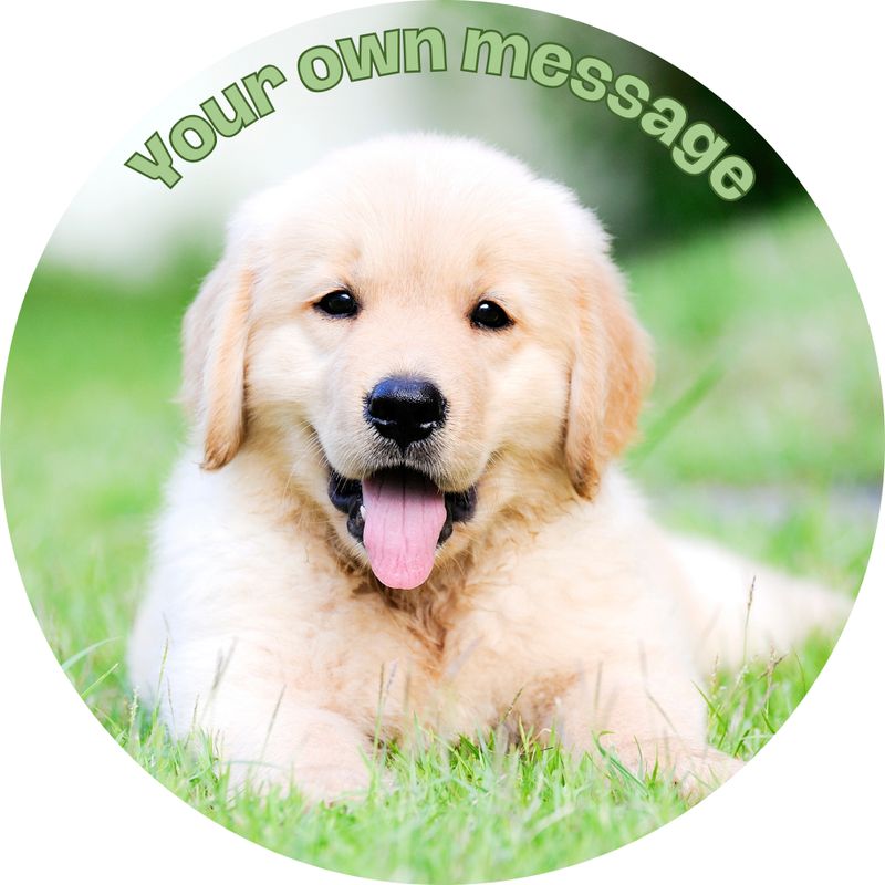 Personalised Photo 7.5″ Round Birthday Edible Cake Topper