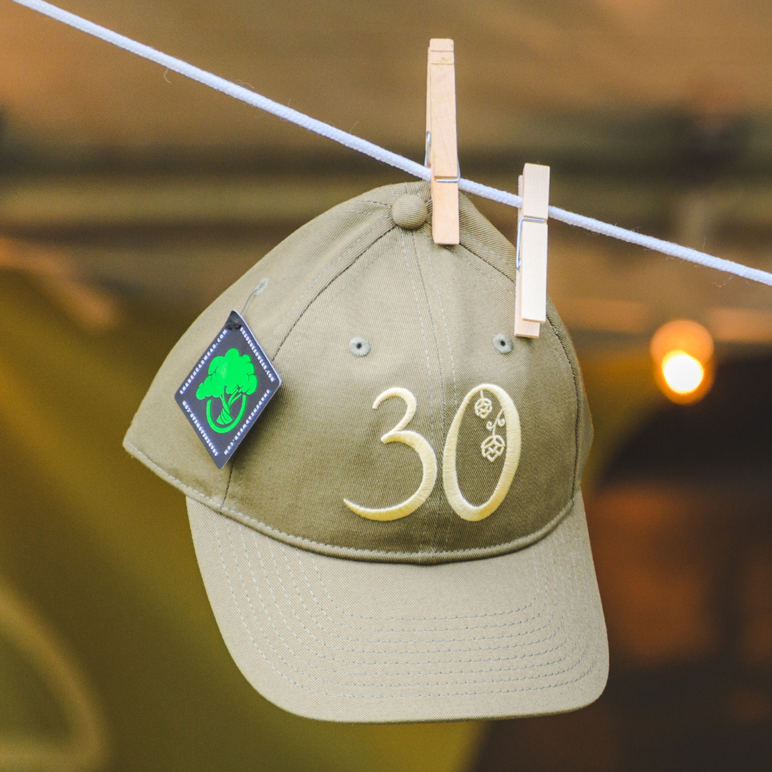 30th Vermont Brewers Festival Dad Hat