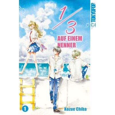 1/3 auf einem Nenner