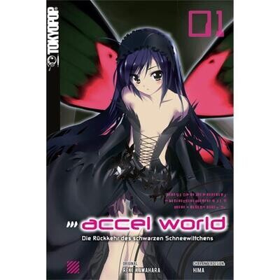 Accel World - Novel