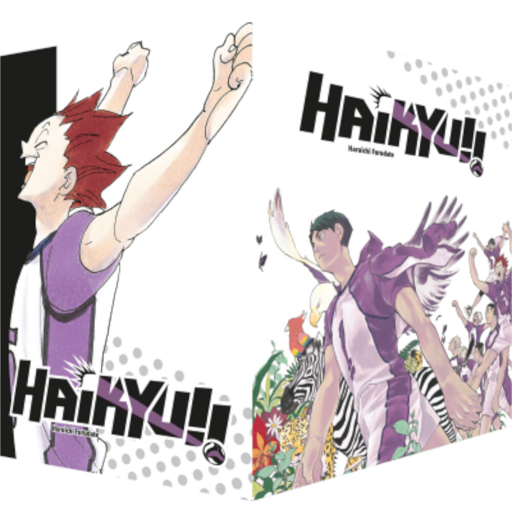 Haikyu!! Sammelschuber (31-40)