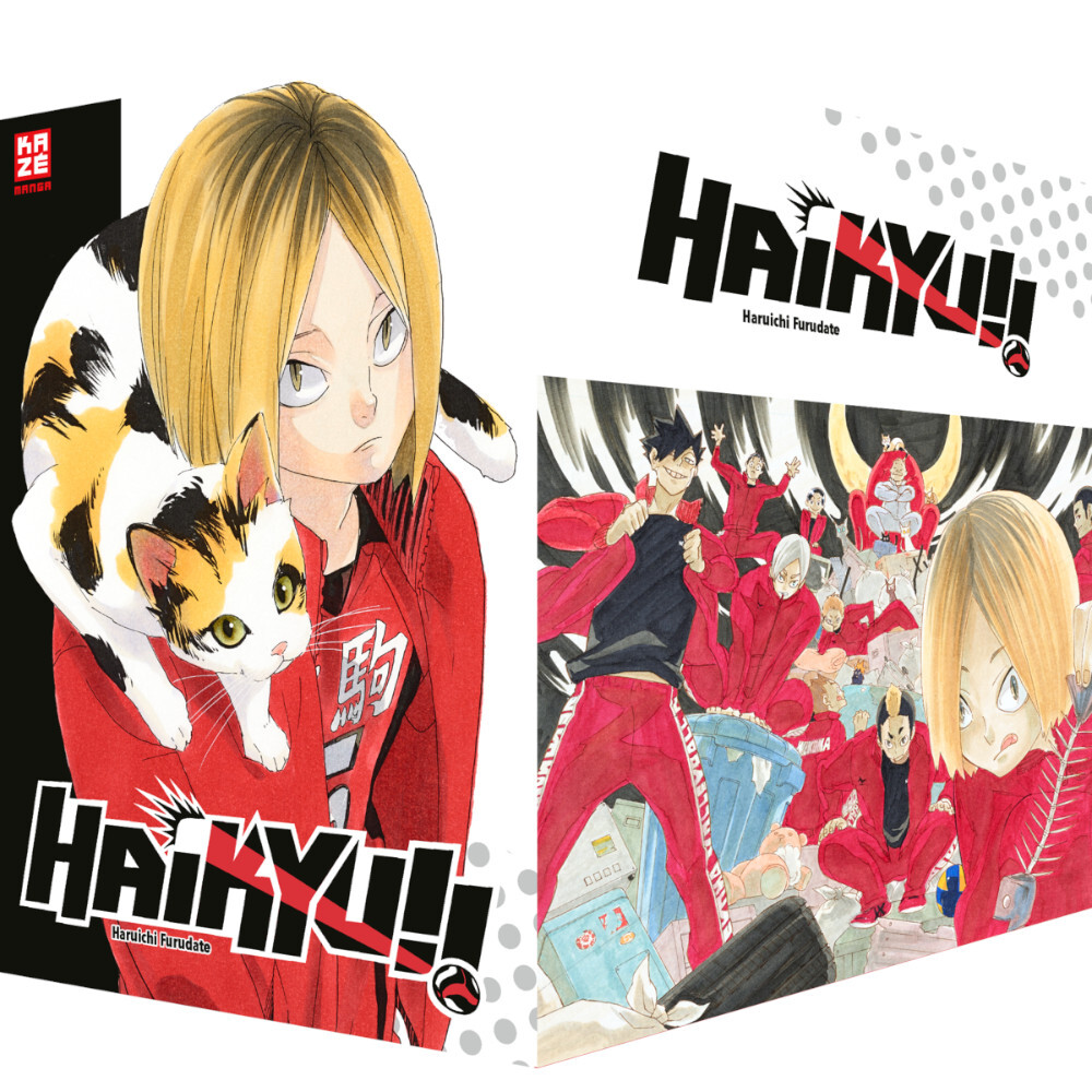 Haikyu!! Sammelschuber (21-30)