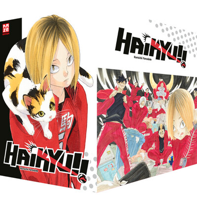Haikyu!! Sammelschuber (21-30)