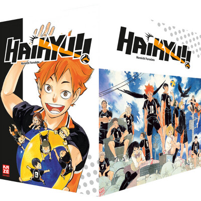 Haikyu!! Sammelschuber (1-10)