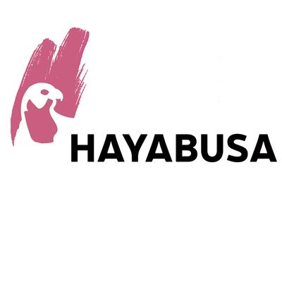 Hayabusa ab dem 26.03.2024