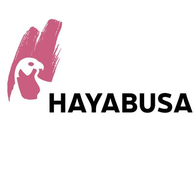 Hayabusa ab dem 26.11.2024