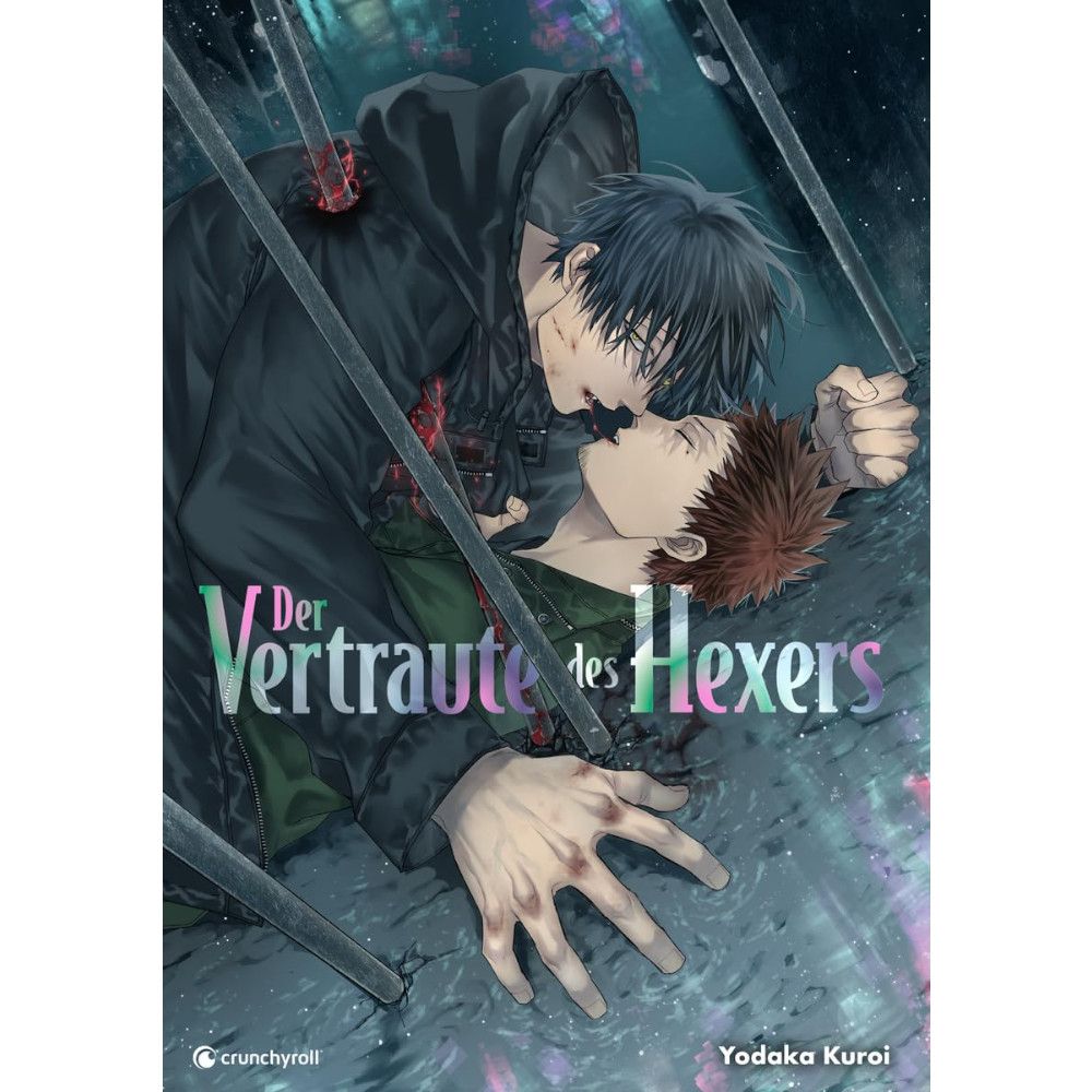 Der Vertraute des Hexers