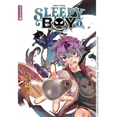 Sleepy Boy Collectors