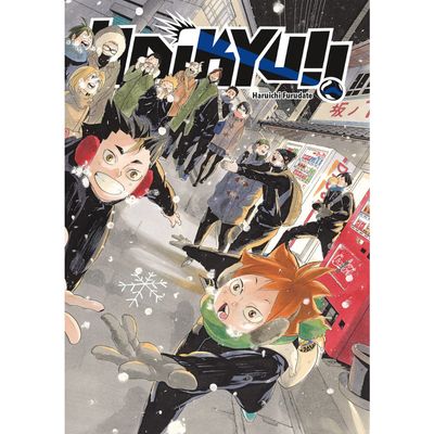 Haikyu Sammelschuber (+45)