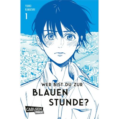Wer bist du zur blauen Stunde? (Taschenbuchausgabe)