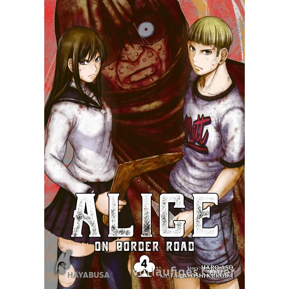 Alice on Border Road, Band: 4