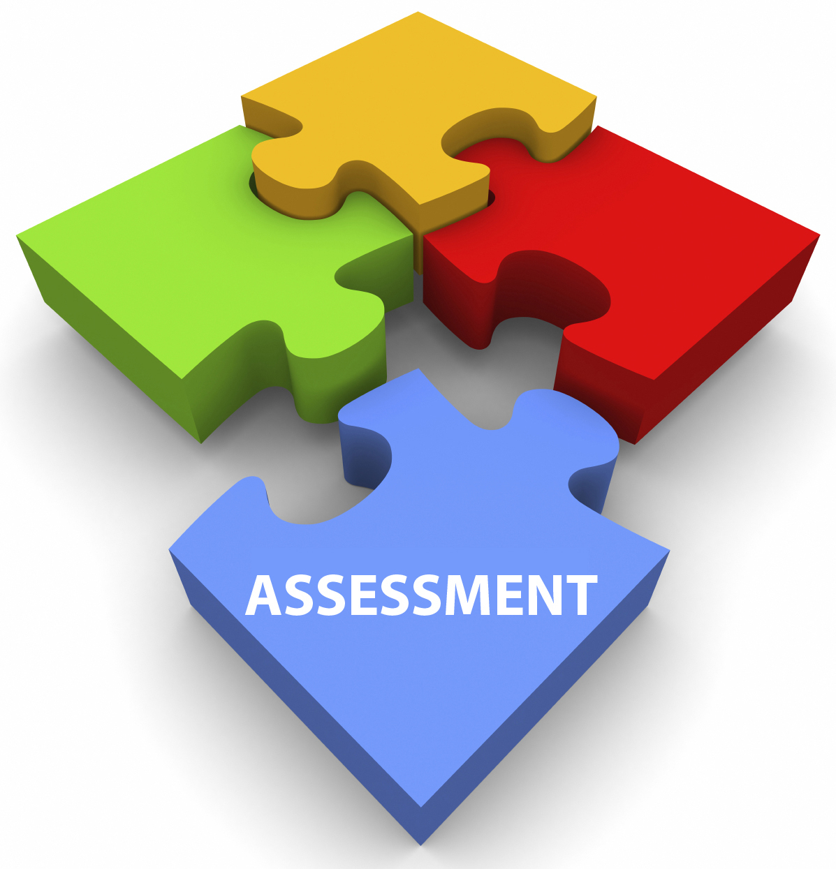 Assessment 00006