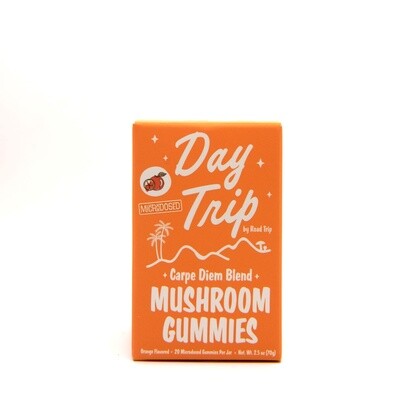 Day Trip Microdosed Gummies + Functional Mushrooms