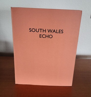 South Wales Echo by Gerardus Cambrensis