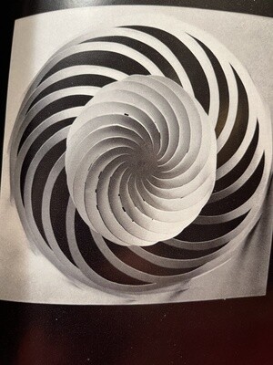 Forms of Paper. Hiroshi Ogawa