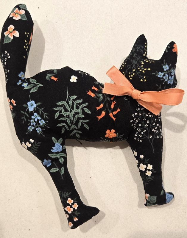 Bats, Cats or Hats Workshop