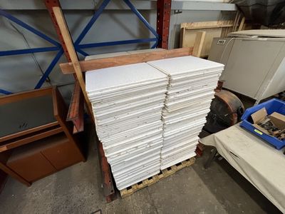 Ceiling Panels (2’ x 4’)