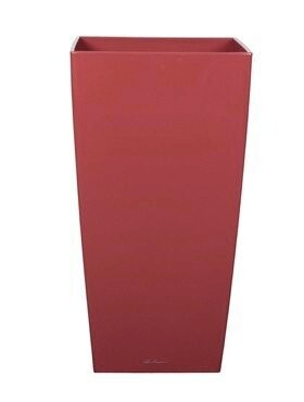 Lechuza Cubico Scarlet red