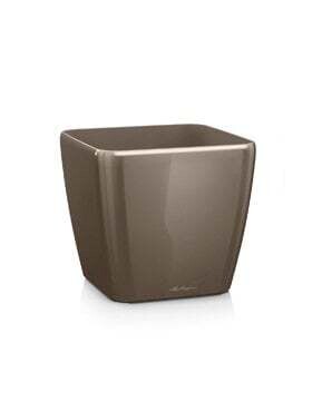 Lechuza Quadro taupe