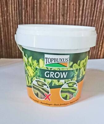 Topbuxus Grow