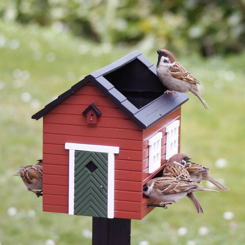 Vogelvoederhuisje met bad - rood