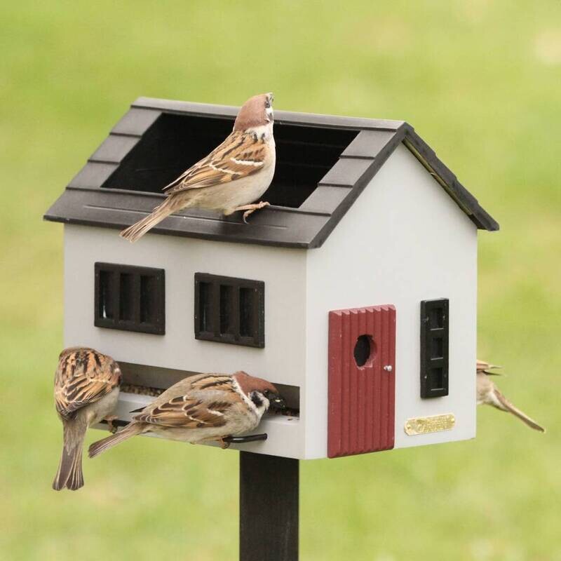 Vogelvoederhuisje met bad - grijs
