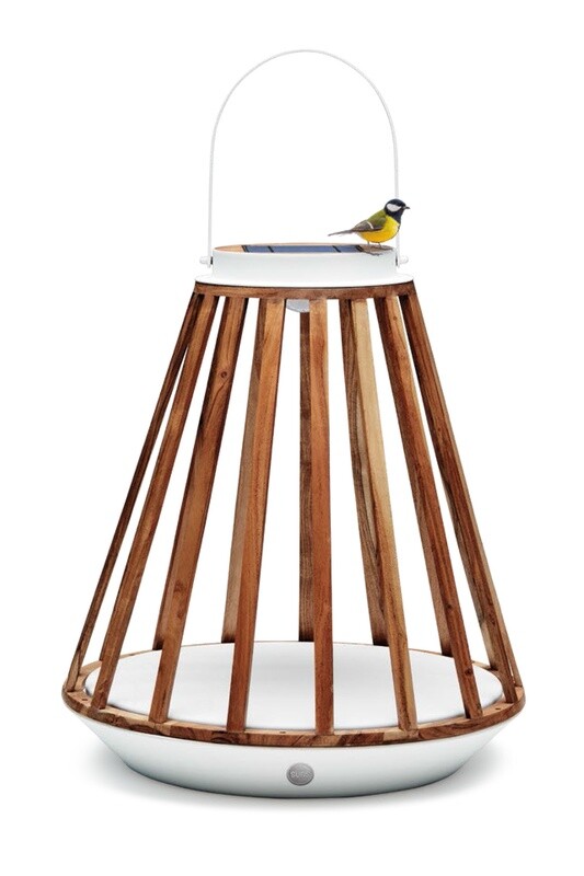 Mrs. Solar Kate (L) - mat wit