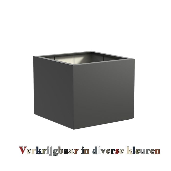 Carrez  (Buxus) vierkant / kubus - mat  ...v.a.
