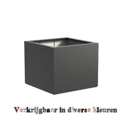 Carrez  (Buxus) vierkant / kubus - mat  ...v.a.