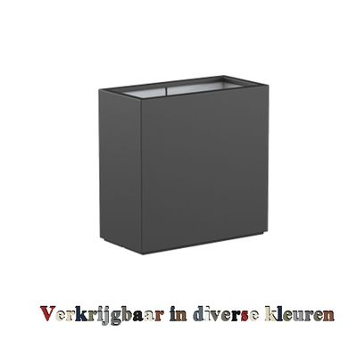 Carrez (Buxus) langwerpig - divider - mat  ...v.a.