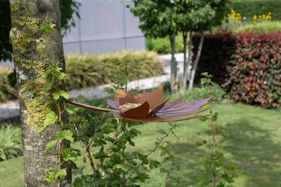 Vogelvoeder - Leaf me - bruin