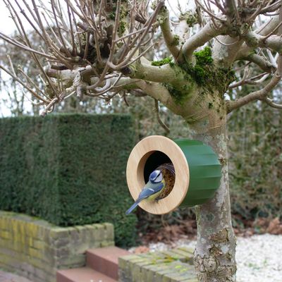 2 in 1 Vogelhuis Cactus - groen