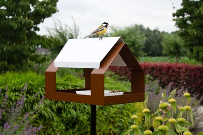 The Barn  Pole - bruin