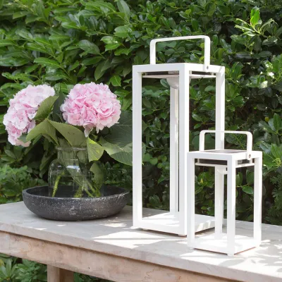 Set Suns Mr. Solar Jack (M &amp; S) - mat wit