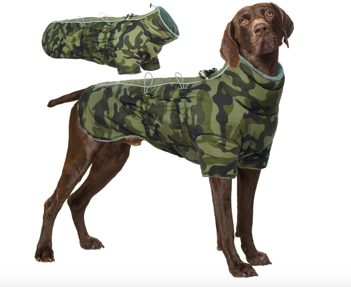 Katzinst zimowa kurtka dla psów, wodoodporna z nogawkami, 2XL, Military Green