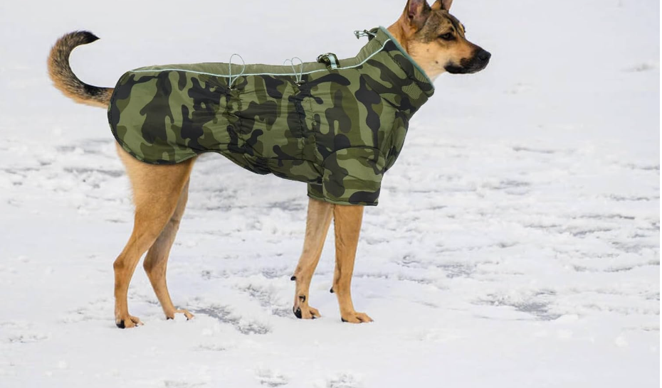 Katzinst zimowa kurtka dla psów, wodoodporna z nogawkami, 2XL, Military Green